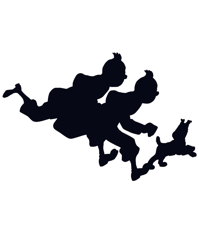 لباس تن تن سایه